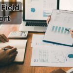 Fallias Field Report