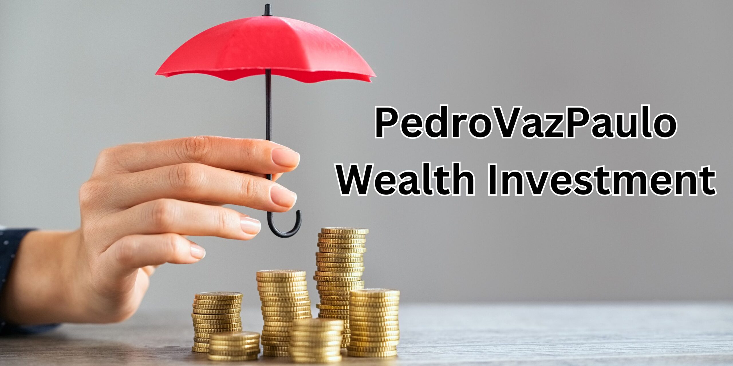 PedroVazPaulo Wealth Investment