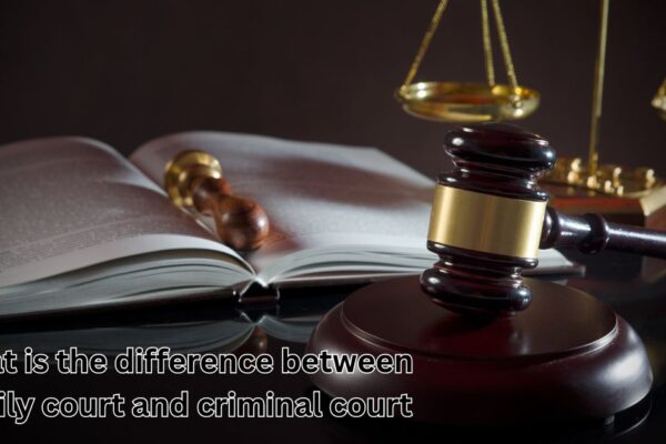 what is the difference between family court and criminal court