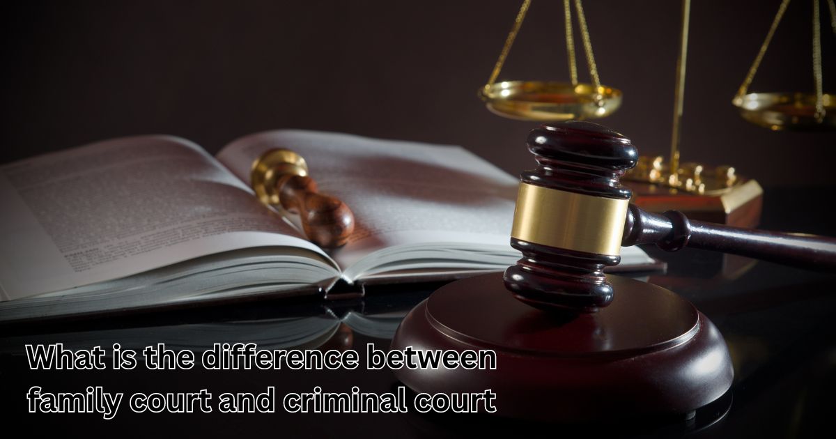 what is the difference between family court and criminal court