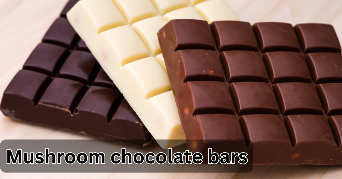 Mushroom chocolate bars