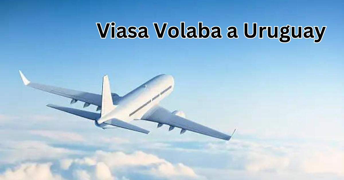 Viasa Volaba a Uruguay